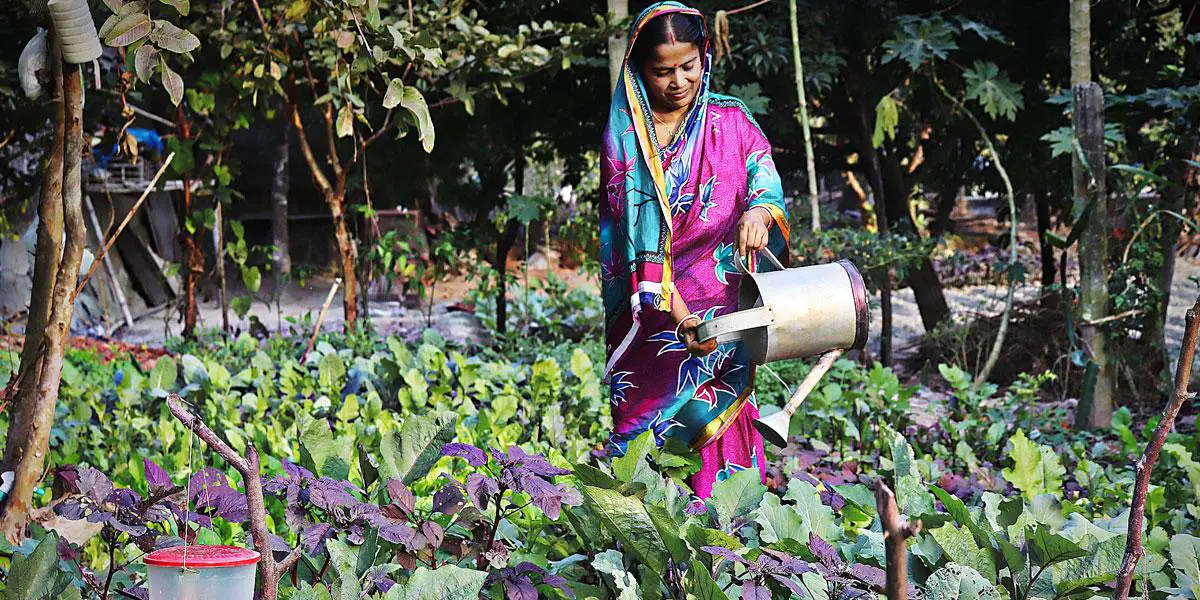 লবণাক্ত জমিতেই ঘুরে দাঁড়াচ্ছেন মানুষ