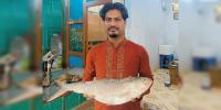 এক ইলিশ ১৩ হাজার টাকায় বিক্রি