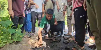 নিম্নমানের সামগ্রী দিয়ে সড়ক নির্মাণ, কাজ বন্ধ করলেন হাসনাত আব্দুল্লাহ