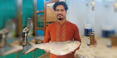 এক ইলিশ ১৩ হাজার টাকায় বিক্রি