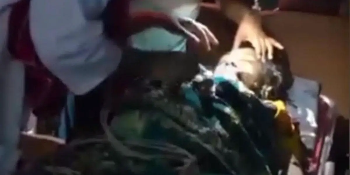কচুয়ায় বৃদ্ধাকে কুপিয়ে হত্যা