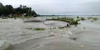 চারঘাটে ভাঙন-আতঙ্কে তীরবর্তী মানুষ