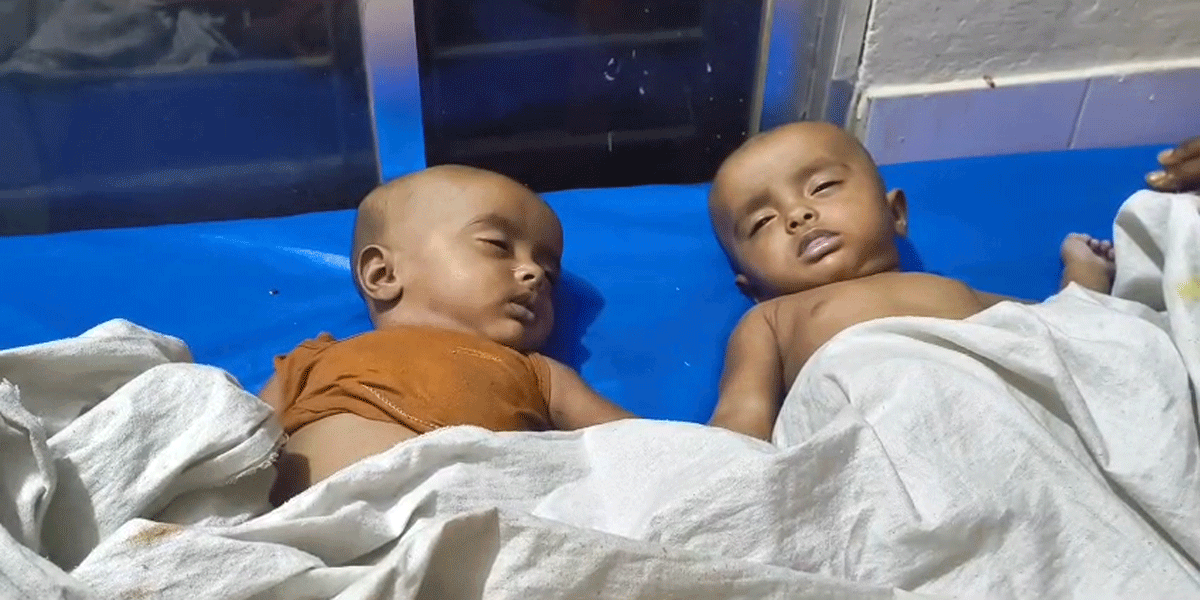 শ্রীনগরে পুকুর থেকে জমজ ২ শিশুর মরদেহ উদ্ধার, বাবা-মা আটক