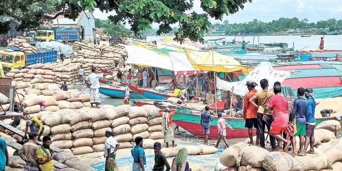 আশুগঞ্জ মোকামে সরবরাহ বাড়ায় কমছে ধানের দাম