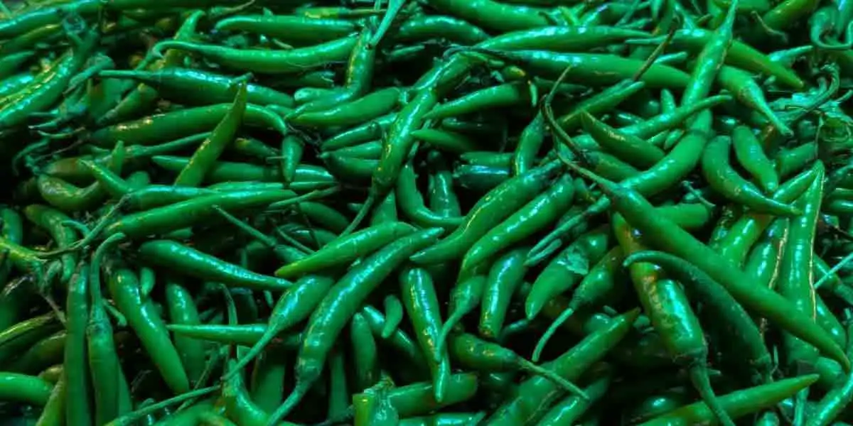কাঁচা মরিচের কেজি ৩০০ টাকা ছাড়াল