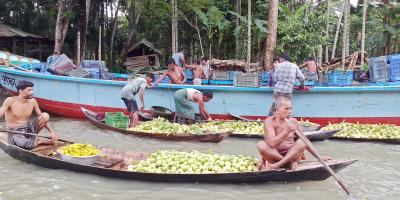 বরিশালের জনপ্রিয় পেয়ারার হাটে একদিন