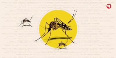 দেশে ডেঙ্গুতে একজনের মৃত্যু, হাসপাতালে ৩৯১