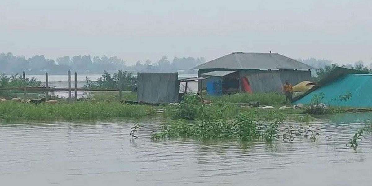 কাজিপুর-শাহজাদপুরে যমুনার ভাঙনে বিলীন দেড় শতাধিক ঘরবাড়ি