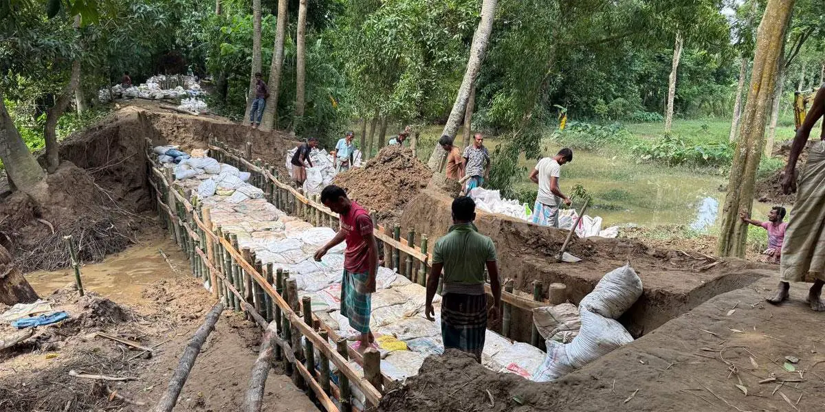 ফেনীতে ভাঙা বাঁধ মেরামত শুরু, ক্ষতি শত কোটি