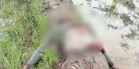 নড়াইলে জমি নিয়ে বিরোধে নিহত ১