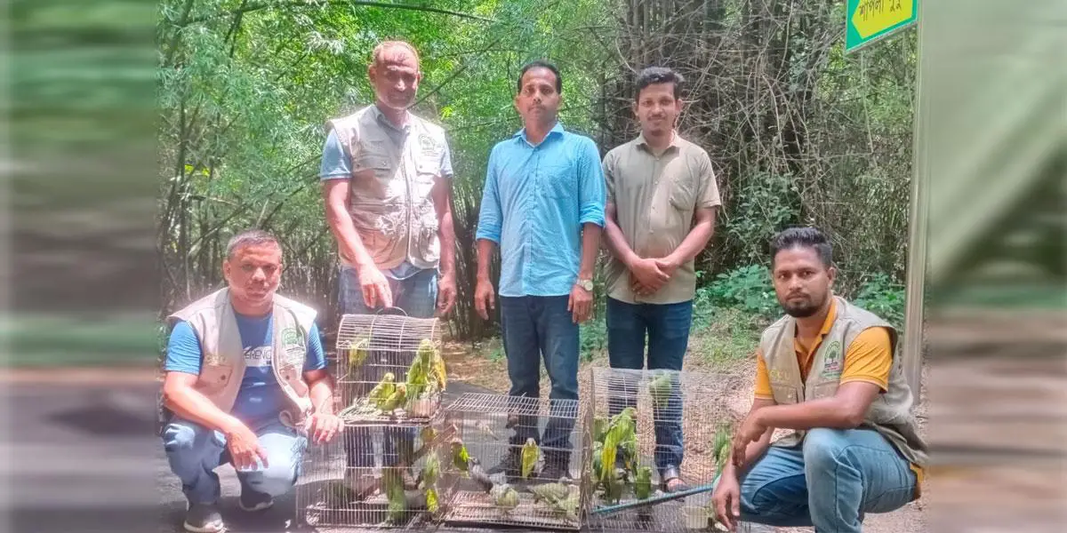 রাজধানীতে বন অধিদপ্তরের অভিযানে ৬৩ প্রাণী উদ্ধার