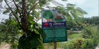 বৃক্ষের জন্য ভালোবাসার অনন্য দৃষ্টান্ত ‘ট্রি-হসপিটাল’