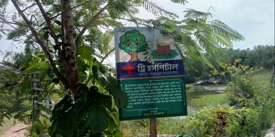 বৃক্ষের জন্য ভালোবাসার অনন্য দৃষ্টান্ত ‘ট্রি-হসপিটাল’