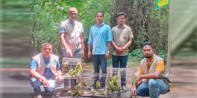 রাজধানীতে বন অধিদপ্তরের অভিযানে ৬৩ প্রাণী উদ্ধার