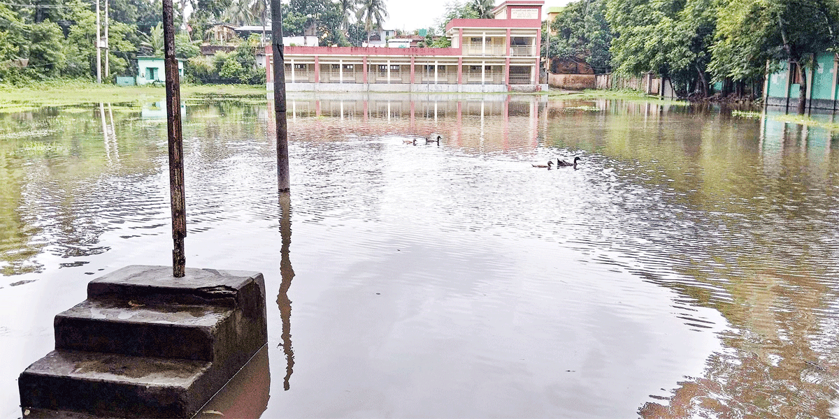 নড়াইল পৌরসভার স্কুল মাঠ যেন বিশাল দিঘি