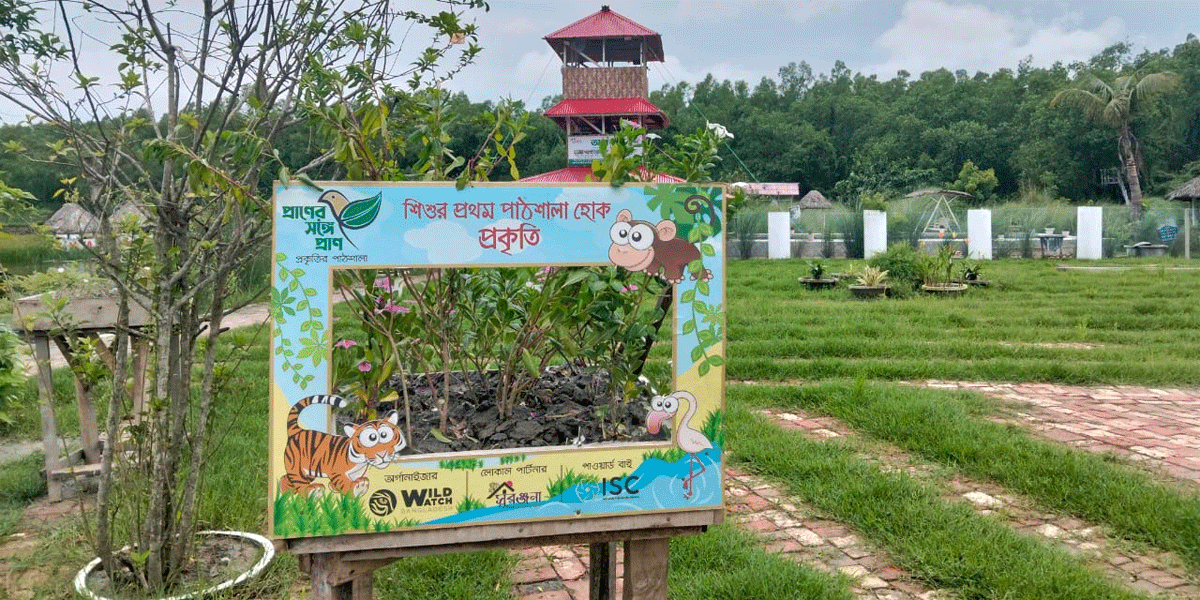 বরগুনায় গাছের জন্য ভালোবাসায় ‘ট্রি-হসপিটাল’