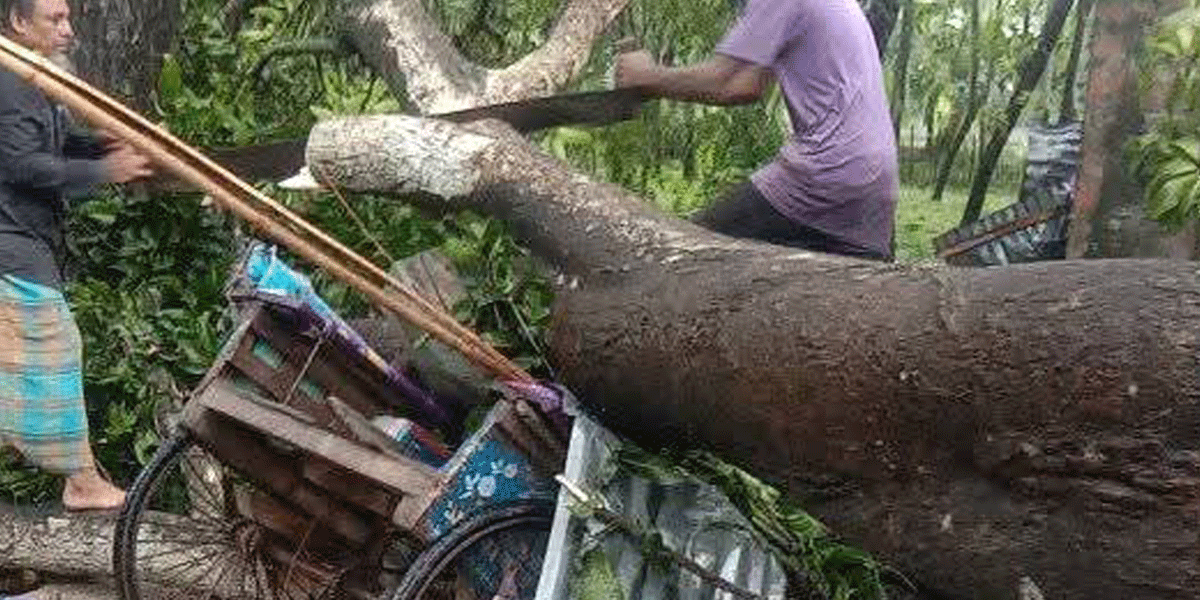 জয়পুরহাটে পৃথক ঘটনায় ৩ জনের মৃত্যু