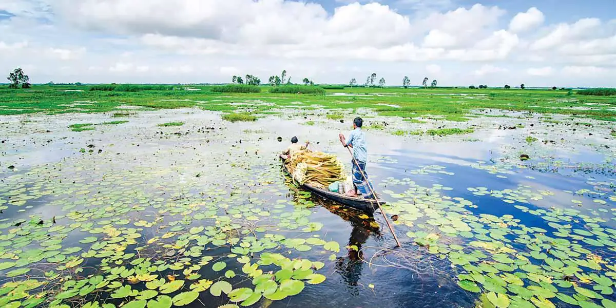 জল, পাখি আর নীরবতার গান