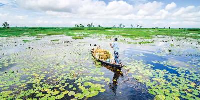 জল, পাখি আর নীরবতার গান