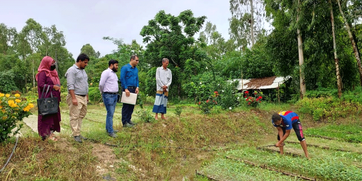 সাতকানিয়ায় ২ লাখ ইউক্যালিপটাস ও আকাশমণি গাছ ধ্বংস