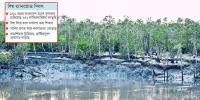 সুন্দরবনের জীববৈচিত্র্য ঝুঁকিতে
