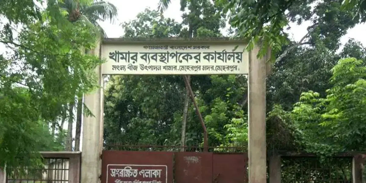 মেহেরপুরে বেহাল মৎস্য বীজ খামার, রেণু সংকট