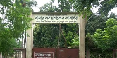 মেহেরপুরে বেহাল মৎস্য বীজ খামার, রেণু সংকট