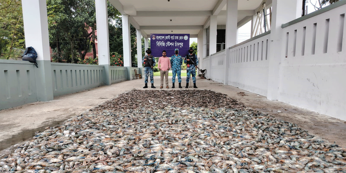 চাঁদপুরে ৪৫ মণ জেলিযুক্ত চিংড়ি জব্দ