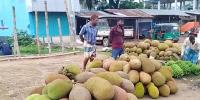 হাওয়ায় ভাসে পাকা কাঁঠালের ঘ্রাণ