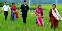 ব্র্যাকের ইয়াং প্রফেশনালে কাজের সুযোগ, স্নাতক পাসে আবেদন
