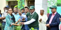 একটি গাছ কাটলে ১০টি গাছ লাগাতে হবে: নোবিপ্রবি উপাচার্য