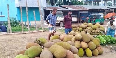 হাওয়ায় ভাসে পাকা কাঁঠালের ঘ্রাণ