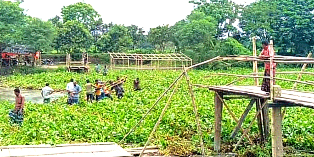 সাগরদাঁড়িতে ভেঙে পড়েছে সাঁকো, ২০ গ্রামবাসীর চলাচলে দুর্ভোগ