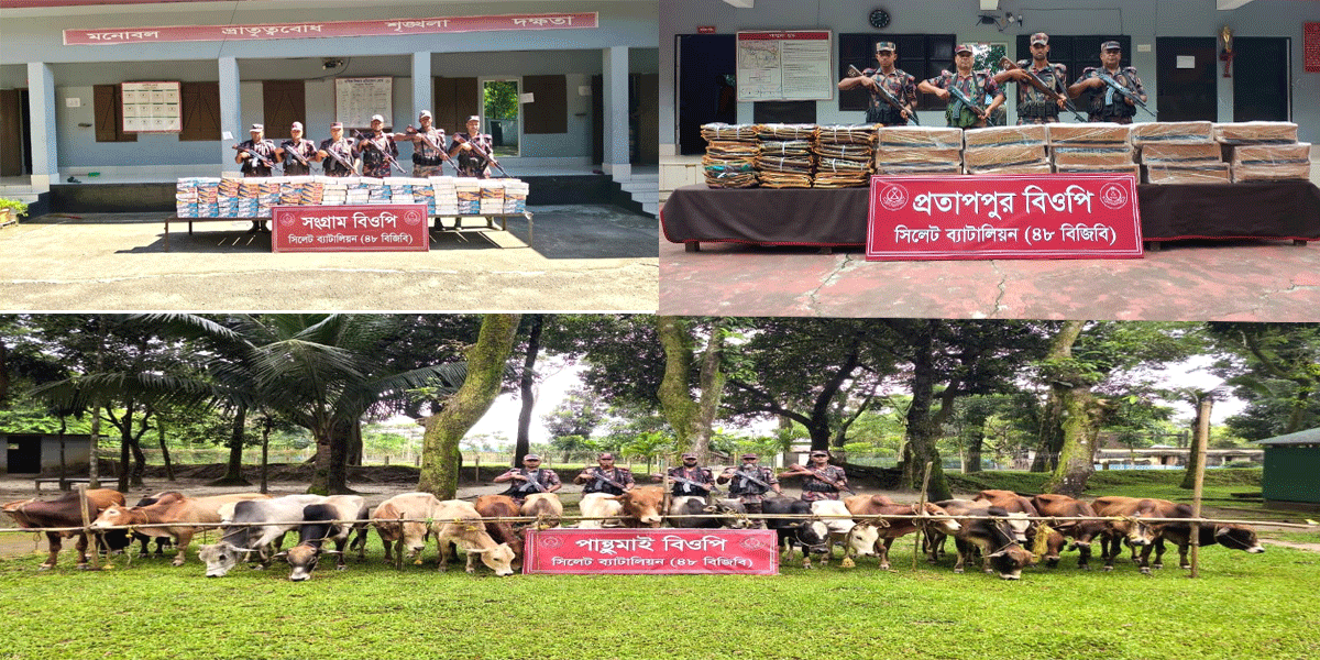 সিলেট সীমান্তে ১ কোটি ২০ লাখ টাকার চোরাই পণ্য জব্দ