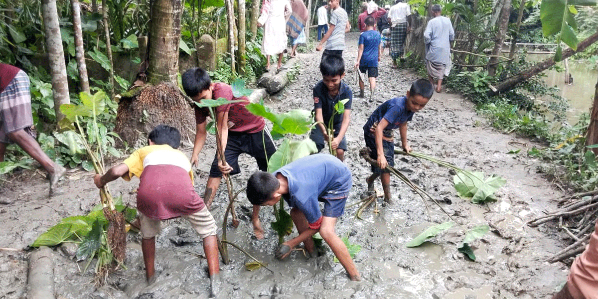 রাজাপুরে রাস্তায় কচুগাছ রোপণ করে মানববন্ধন