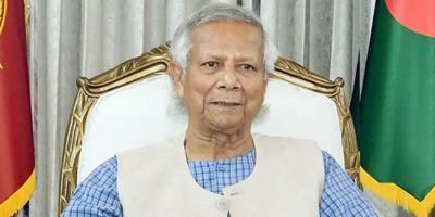কোনো নিপীড়নের কাছে মাথা নত করব না: প্রধান উপদেষ্টা