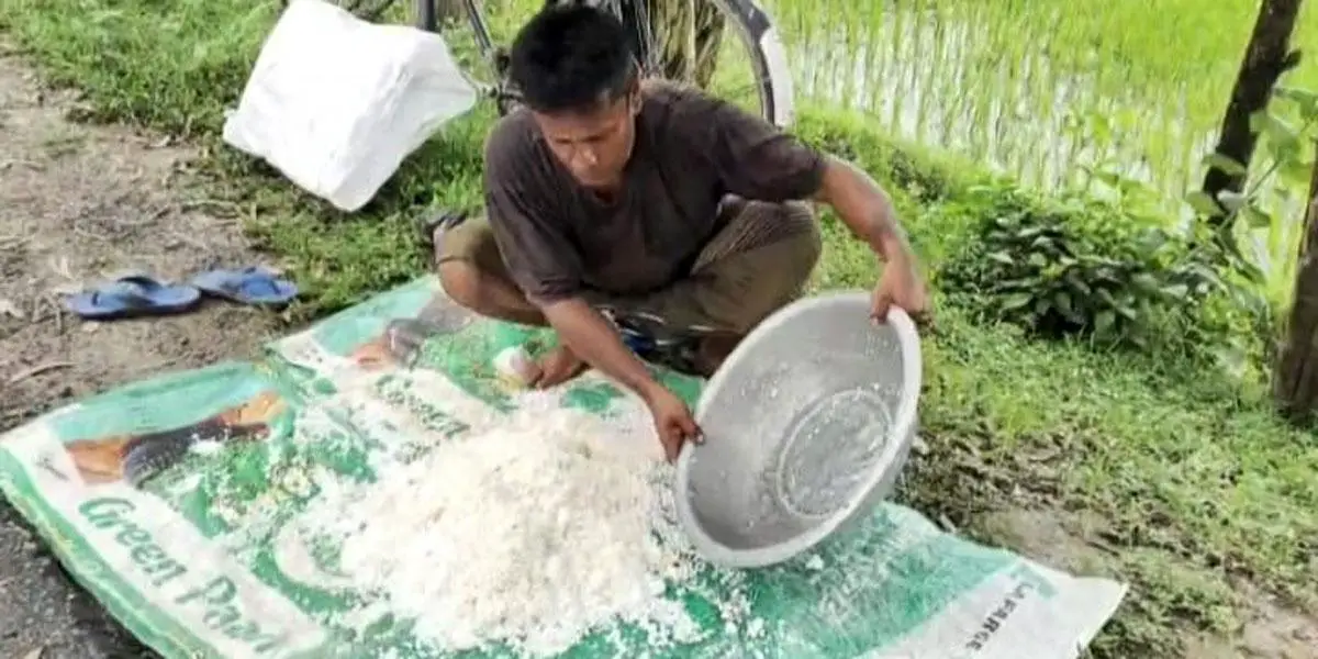 দিনাজপুরে সার সিন্ডিকেটে বিপাকে কৃষক