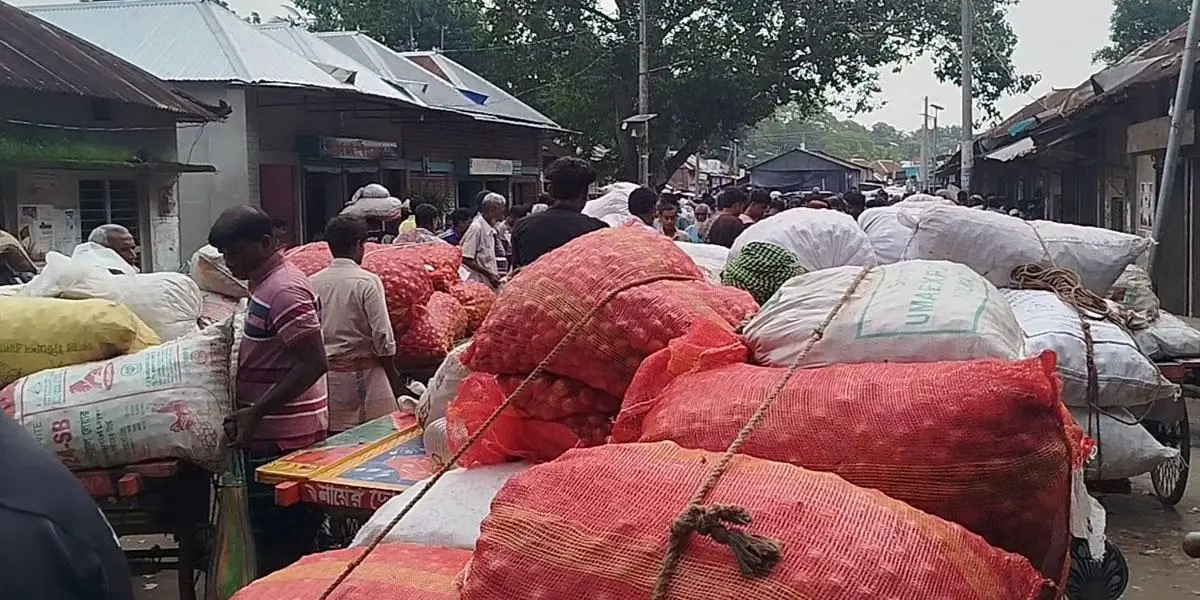 রাজবাড়ীতে কমেছে পেঁয়াজের দাম, লোকসানে চাষি
