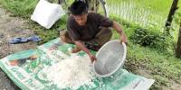 দিনাজপুরে সার সিন্ডিকেটে বিপাকে কৃষক