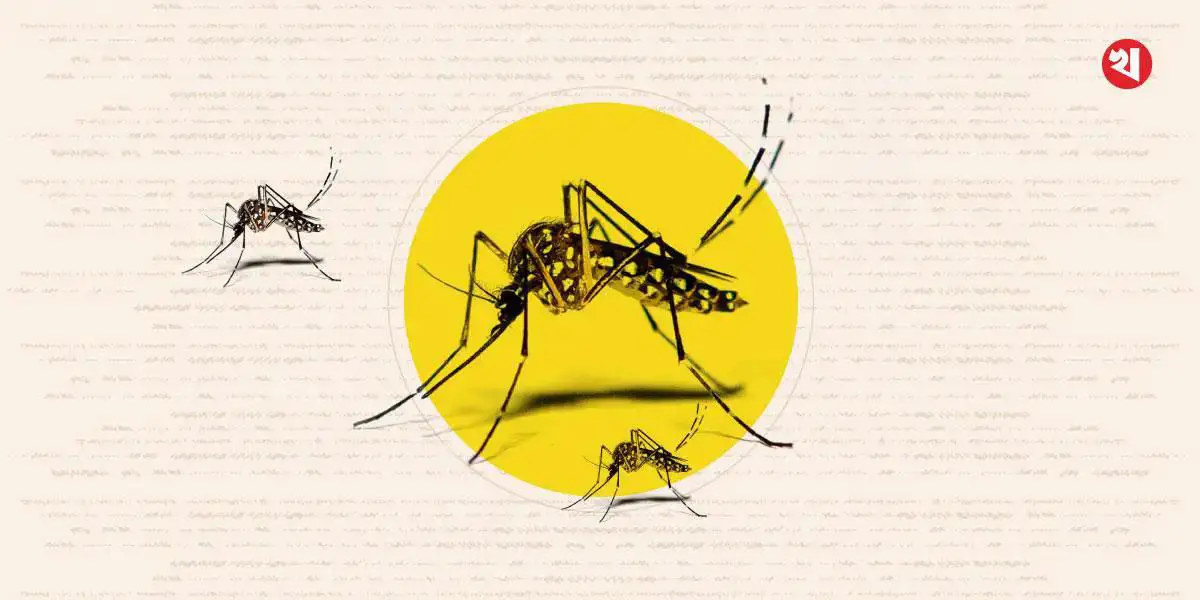 ডেঙ্গুতে একজনের মৃত্যু, হাসপাতালে ৩৮২