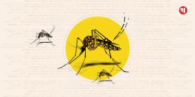 ডেঙ্গুতে একজনের মৃত্যু, হাসপাতালে ৩৮২