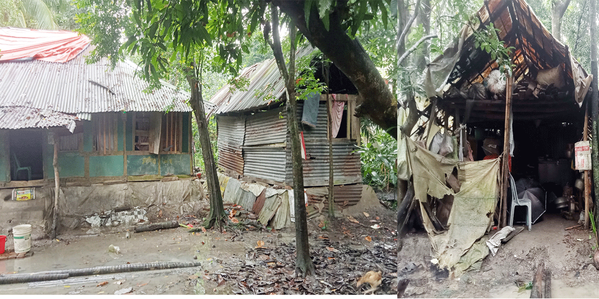 কাঁঠালিয়ায় ৩ পরিবারের চরম অমানবিক জীবনযাপন