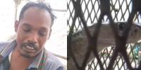 দংশন করা সাপ দেখিয়ে চিকিৎসা নিলেন যুবক