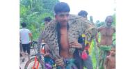 ধান কাটার মেশিনে আহত মেছো বাঘকে পিটিয়ে হত্যা