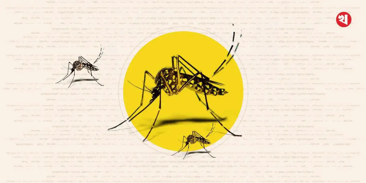 ২৪ ঘণ্টায় ডেঙ্গুতে হাসপাতালে ১৩৪