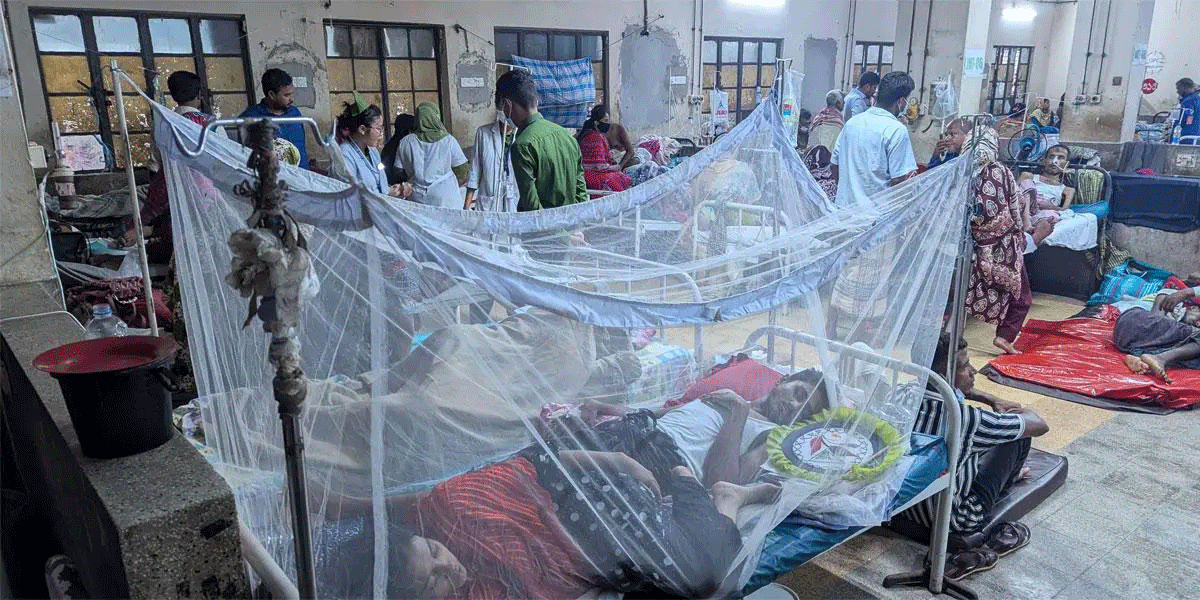 চিকুনগুনিয়ায় আক্রান্ত ২ হাজার ছাড়াল