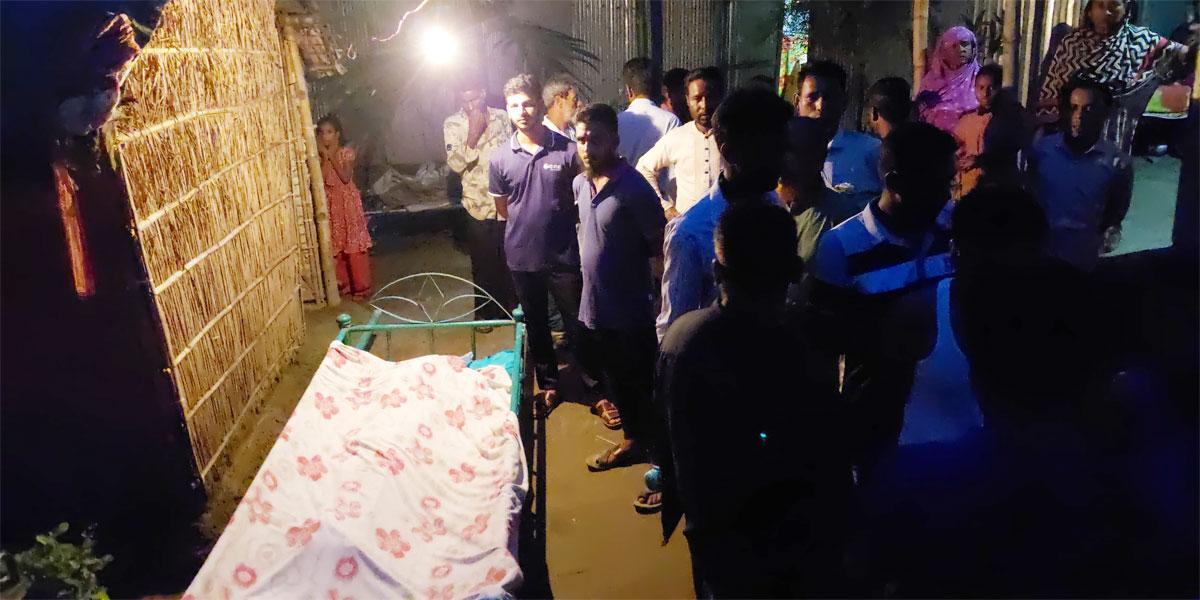 শেরপুরে শাপলা তুলতে গিয়ে ২ শিশুর মৃত্যু