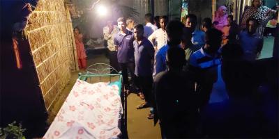 শেরপুরে শাপলা তুলতে গিয়ে ২ শিশুর মৃত্যু