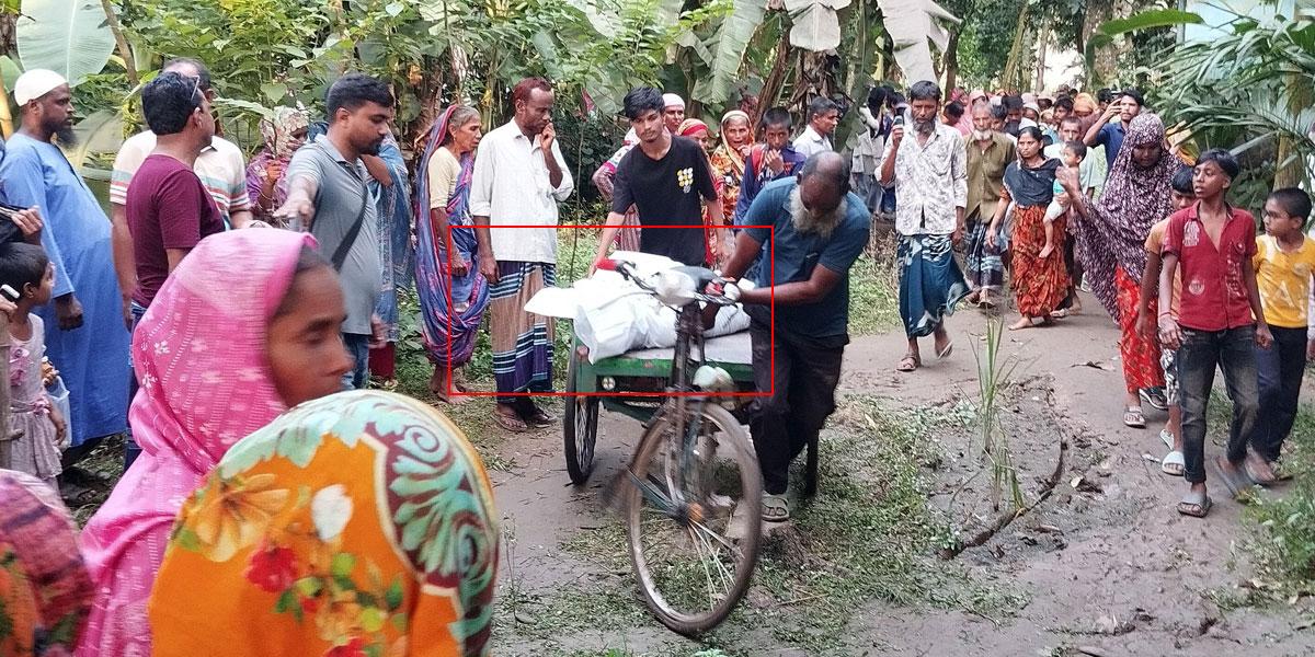 লতাপাতা দিয়ে ঢাকা ছিল নিখোঁজ বৃদ্ধার মরদেহ