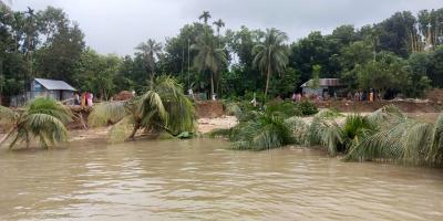 মধুমতীর ভাঙনে নিঃস্ব দুই শতাধিক পরিবার